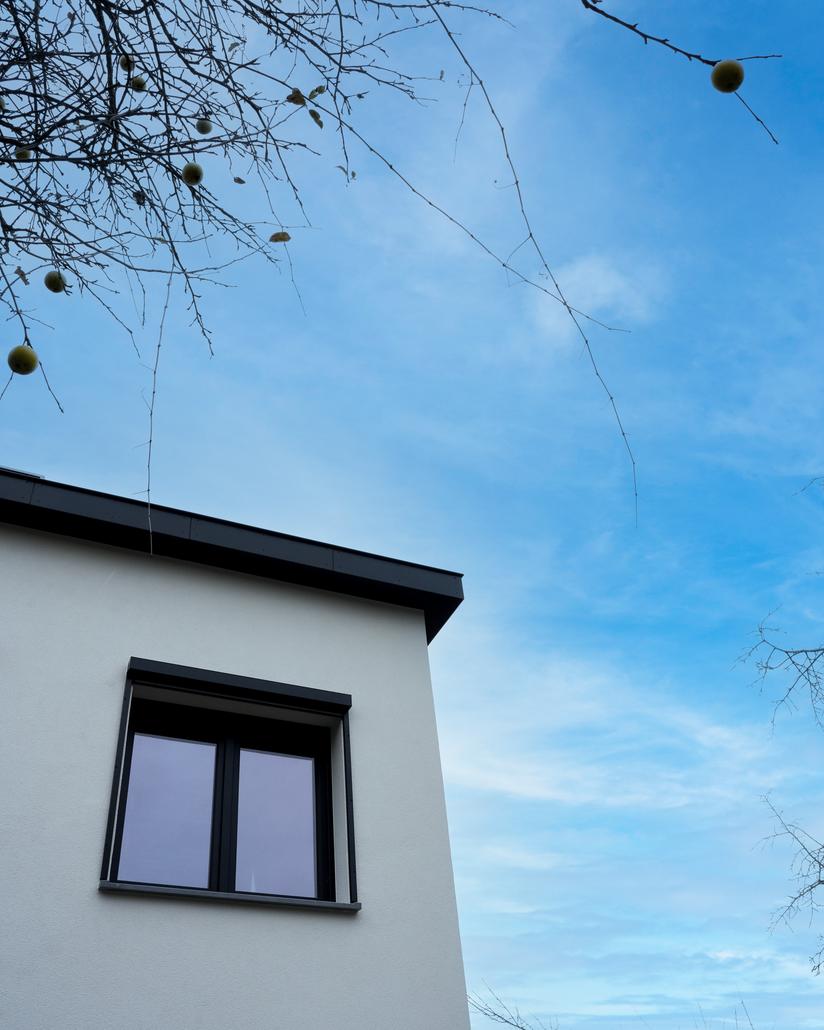 Crepi gevelrenovatie in Edegem