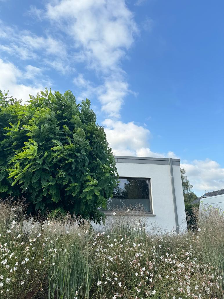 Foto Project details