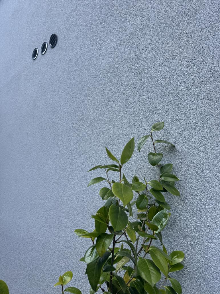 Gevelrenovatie in crepi Kalmthout